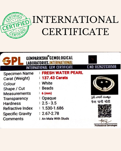 Flat Fresh Water Pearls Set