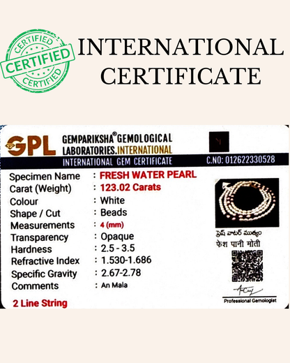 Double-Strand Freshwater Pearl Necklace with Lifetime Guarantee
